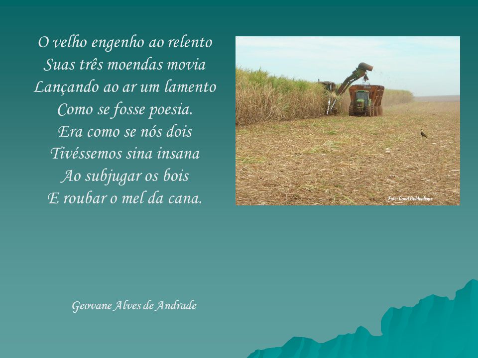 PPT - Poesias sobre o Cerrado PowerPoint Presentation, free download -  ID:5288768