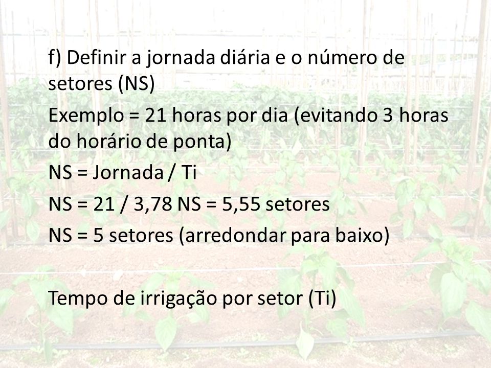 f) Definir a jornada diária e o número de setores (NS) Exemplo = 21 horas por dia (evitando 3 horas do horário de ponta) NS = Jornada / Ti NS = 21 / 3,78 NS = 5,55 setores NS = 5 setores (arredondar para baixo) Tempo de irrigação por setor (Ti)
