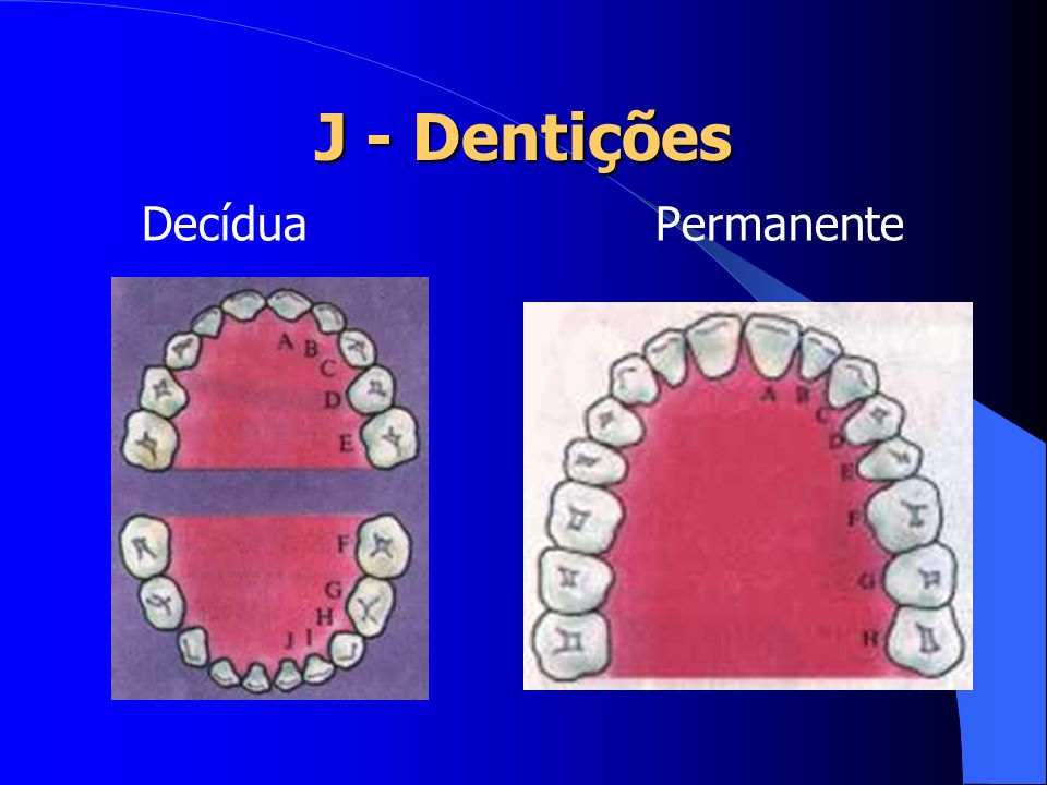 J - Dentições Decídua Permanente