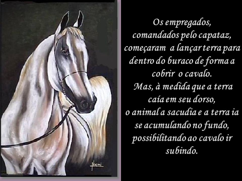 eexistia um dono de cavalo que caiu no poco ele tentou｜Pesquisa