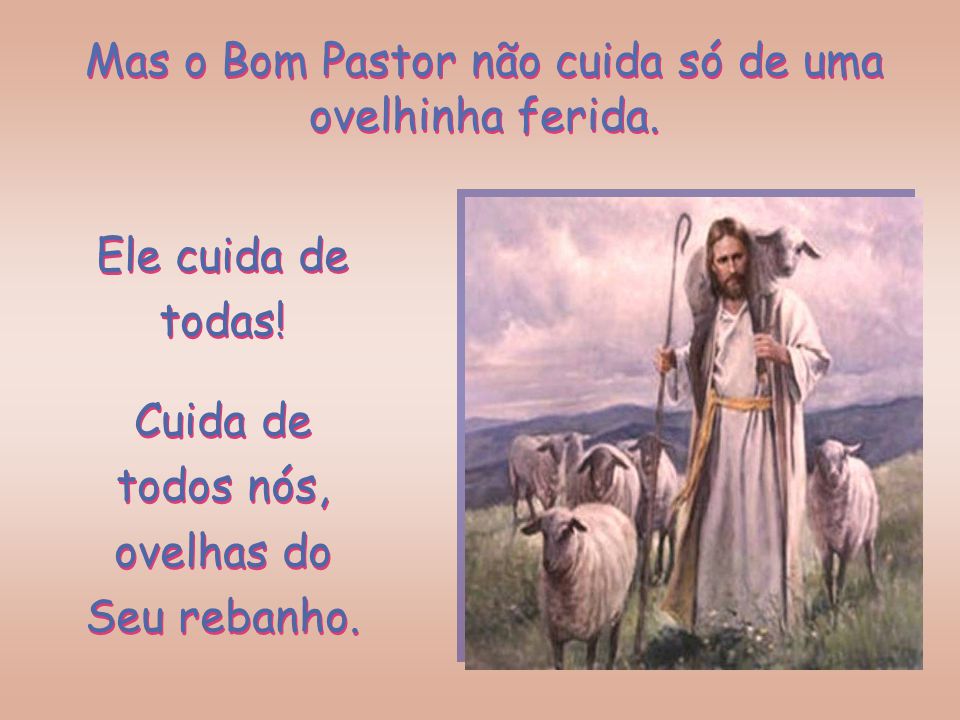 Mas o Bom Pastor não cuida só de uma ovelhinha ferida.