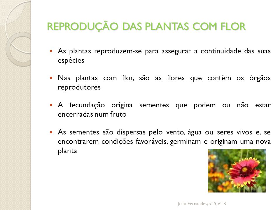 PPT - SISTEMAS REPRODUTIVOS DE PLANTAS CULTIVADAS PowerPoint Presentation -  ID:2435994