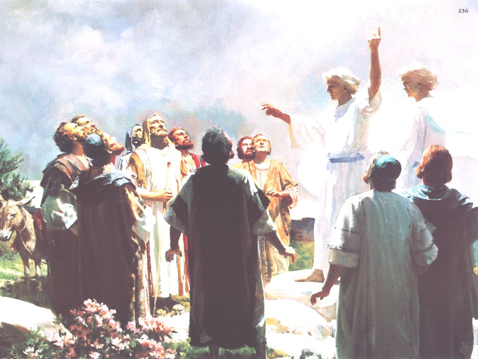 - No Pentecostes: A Ação do ESPÍRITO SANTO na Igreja,