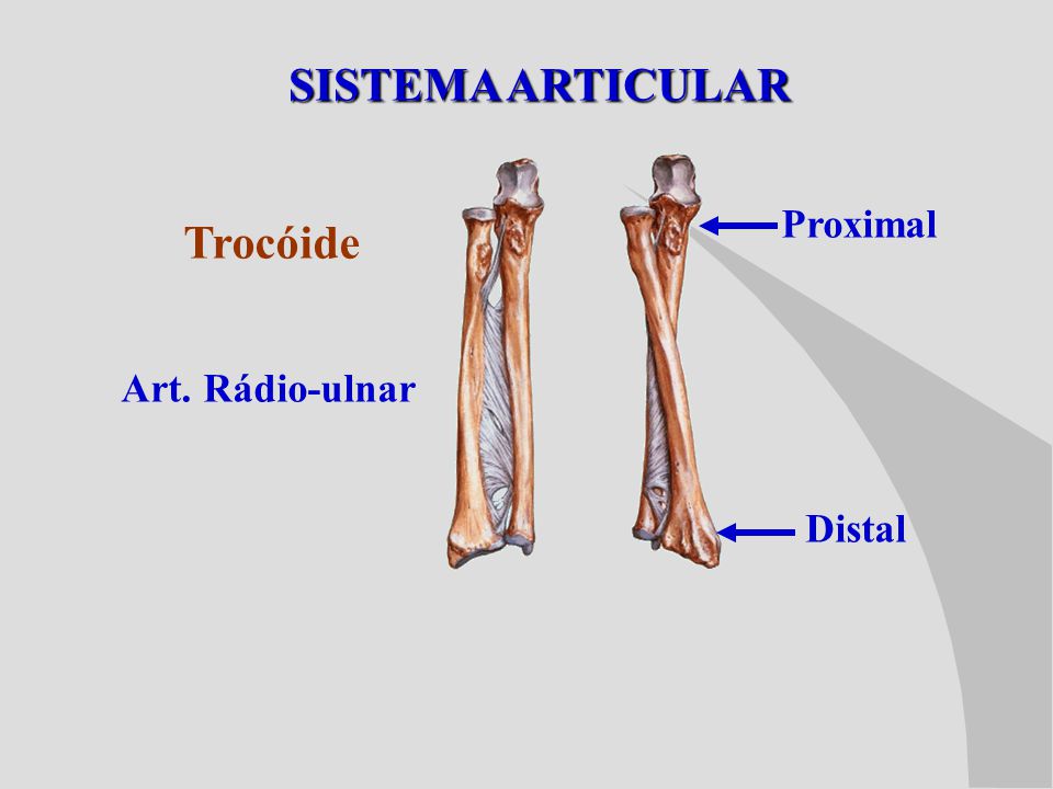 articulatii trohoide cum se poate vindeca artroza articulației