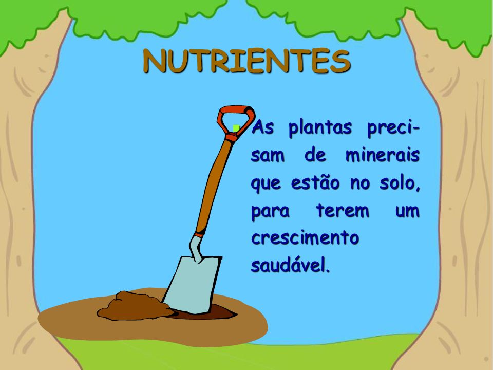 NUTRIENTES As plantas preci-sam de minerais que estão no solo, para terem um crescimento saudável.