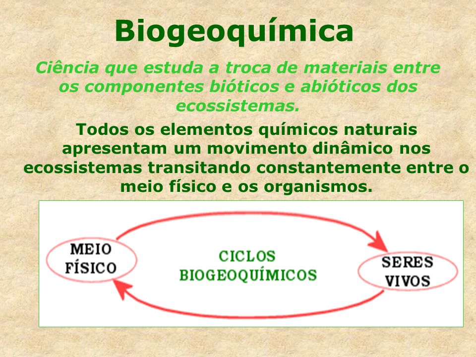 Biogeoquímica Ciência que estuda a troca de materiais entre os componentes bióticos e abióticos dos ecossistemas.