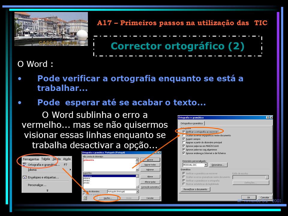 A17 – Primeiros passos na utilização das TIC Corrector ortográfico (2)