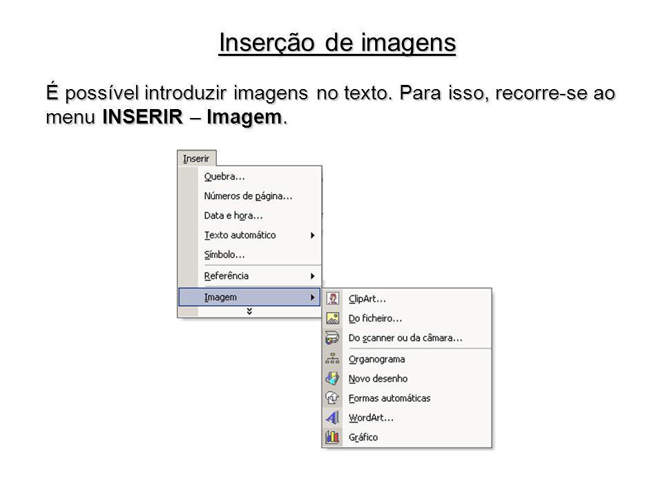 Inserção de imagens É possível introduzir imagens no texto.