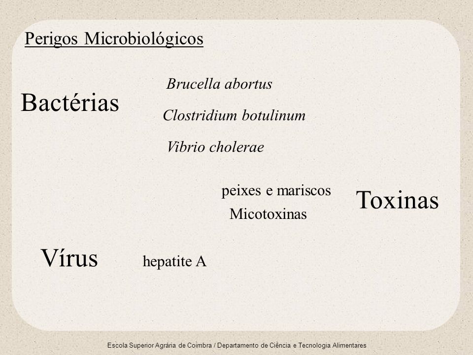 Perigos Microbiológicos