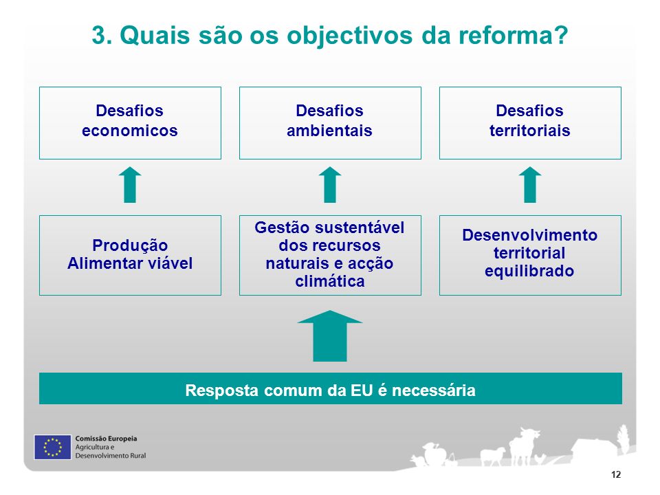 3. Quais são os objectivos da reforma