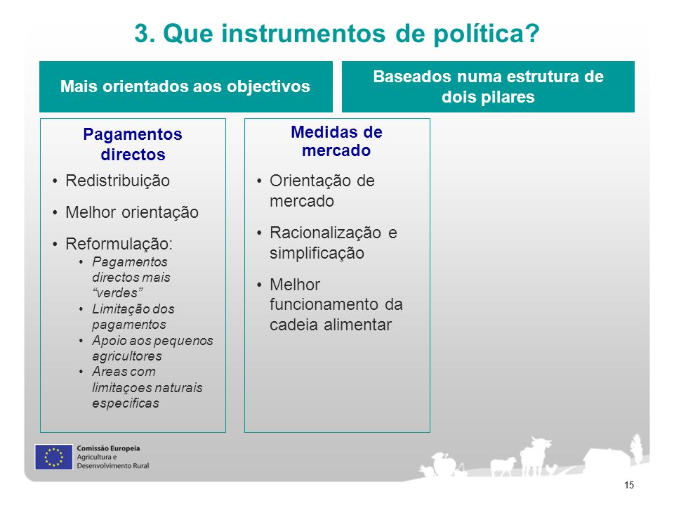 3. Que instrumentos de política