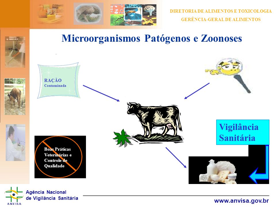 Microorganismos Patógenos e Zoonoses
