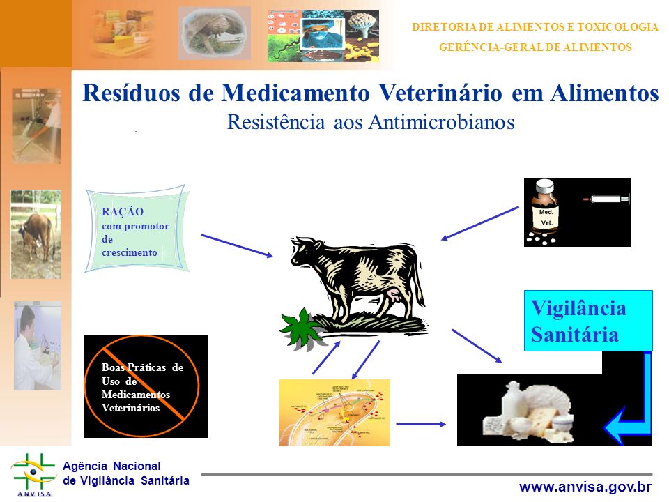 Resíduos de Medicamento Veterinário em Alimentos