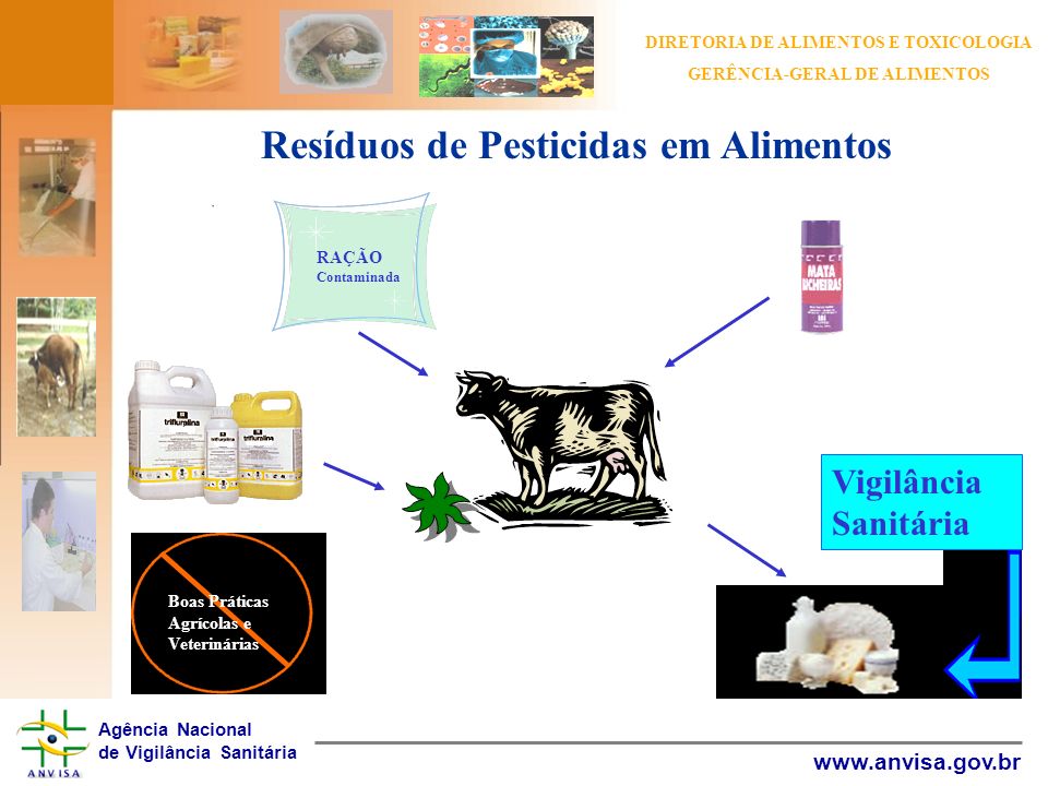 Resíduos de Pesticidas em Alimentos