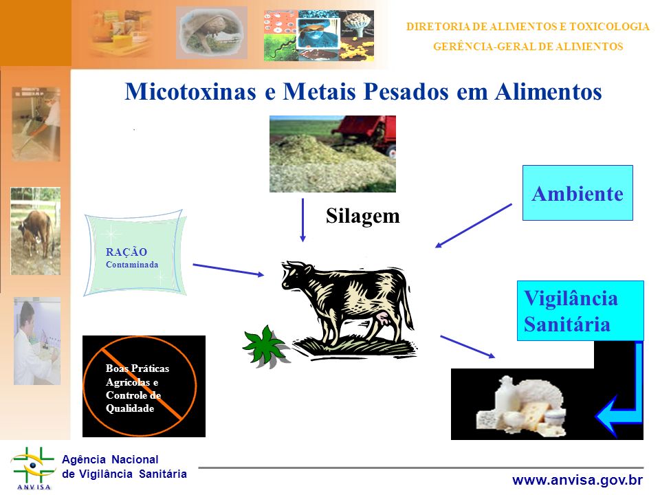 Micotoxinas e Metais Pesados em Alimentos