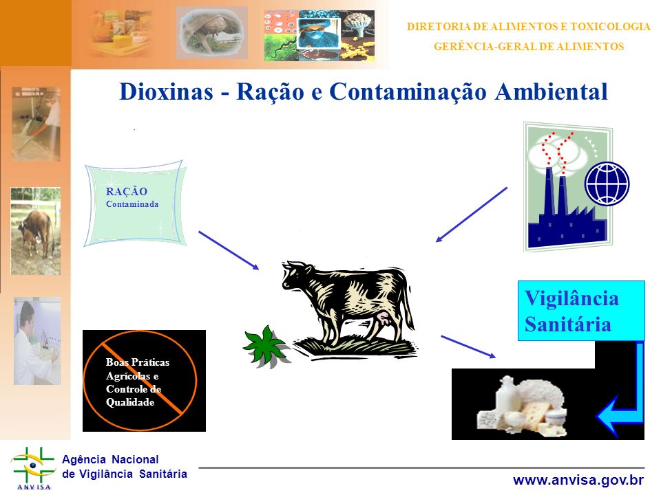 Dioxinas - Ração e Contaminação Ambiental
