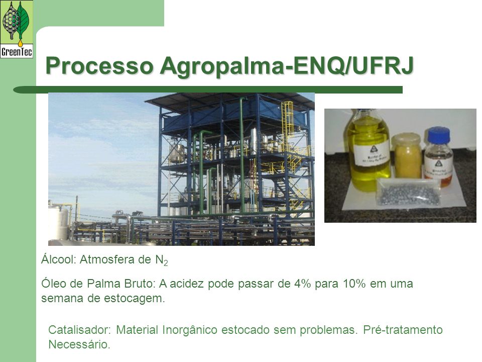 Processo Agropalma-ENQ/UFRJ