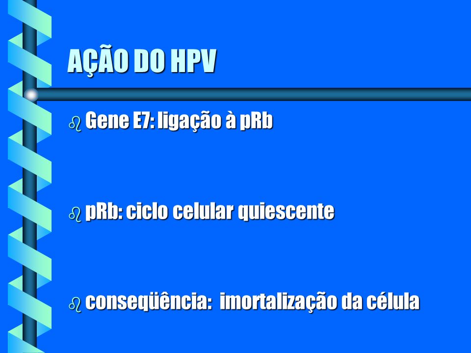 AÇÃO DO HPV Gene E7: ligação à pRb pRb: ciclo celular quiescente
