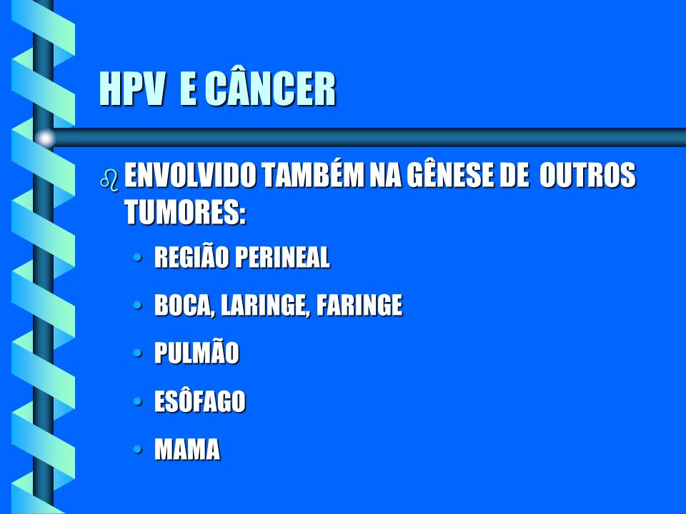 HPV E CÂNCER ENVOLVIDO TAMBÉM NA GÊNESE DE OUTROS TUMORES: