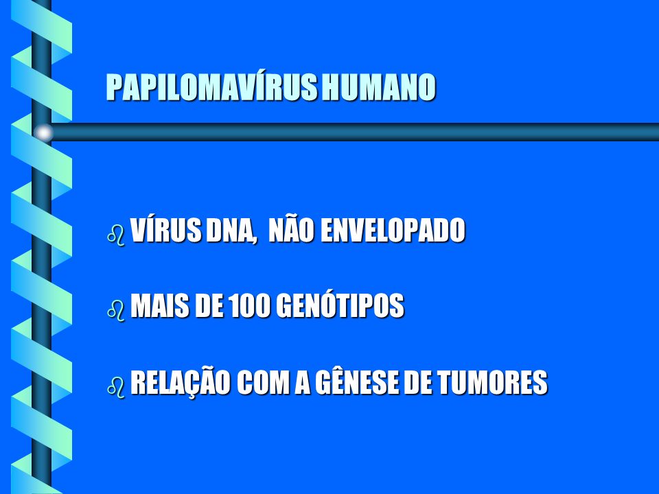 PAPILOMAVÍRUS HUMANO VÍRUS DNA, NÃO ENVELOPADO MAIS DE 100 GENÓTIPOS