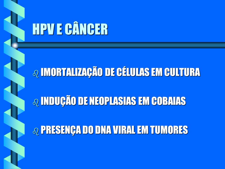 HPV E CÂNCER IMORTALIZAÇÃO DE CÉLULAS EM CULTURA