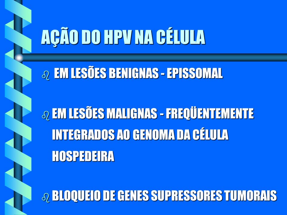 AÇÃO DO HPV NA CÉLULA EM LESÕES BENIGNAS - EPISSOMAL