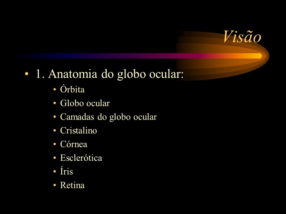Visão 1. Anatomia do globo ocular: Órbita Globo ocular