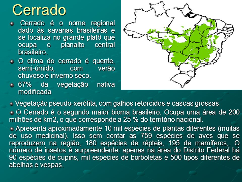 Cerrado Cerrado é o nome regional dado às savanas brasileiras e se localiza no grande platô que ocupa o planalto central brasileiro.