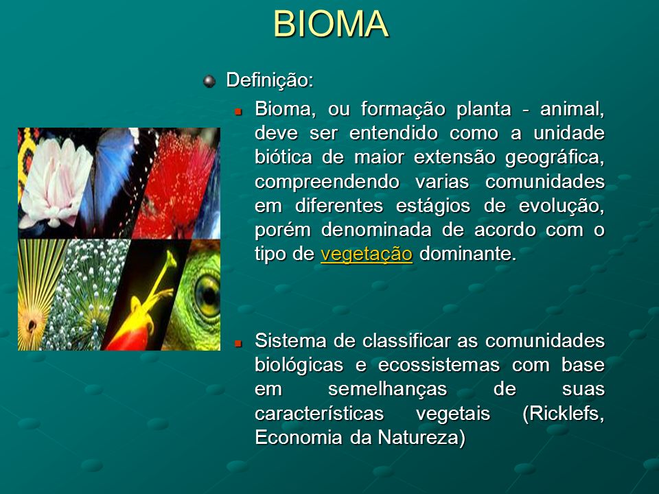 Defina O Que é Um Bioma