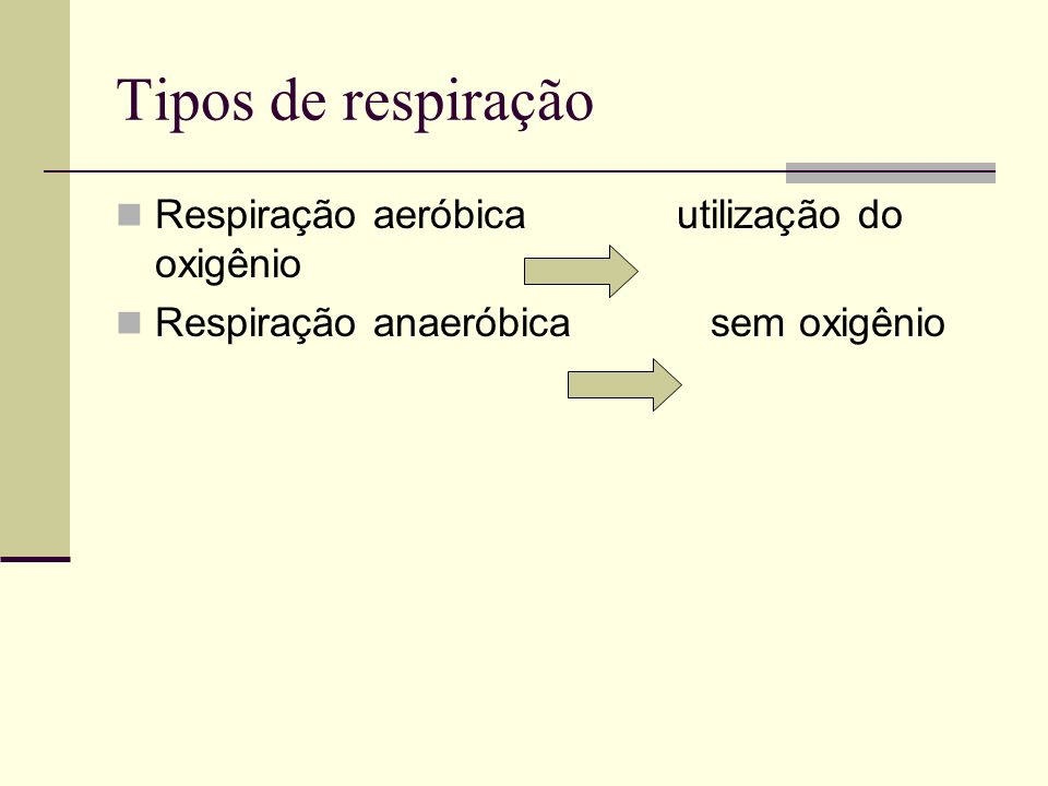 Tipos de respiração Respiração aeróbica utilização do oxigênio