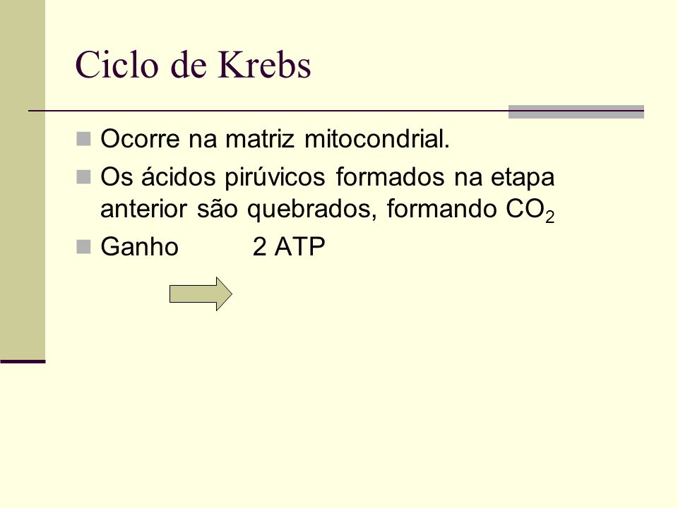 Ciclo de Krebs Ocorre na matriz mitocondrial.