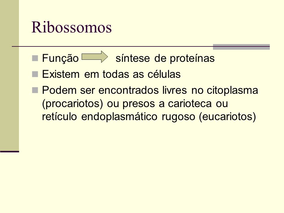 Ribossomos Função síntese de proteínas Existem em todas as células