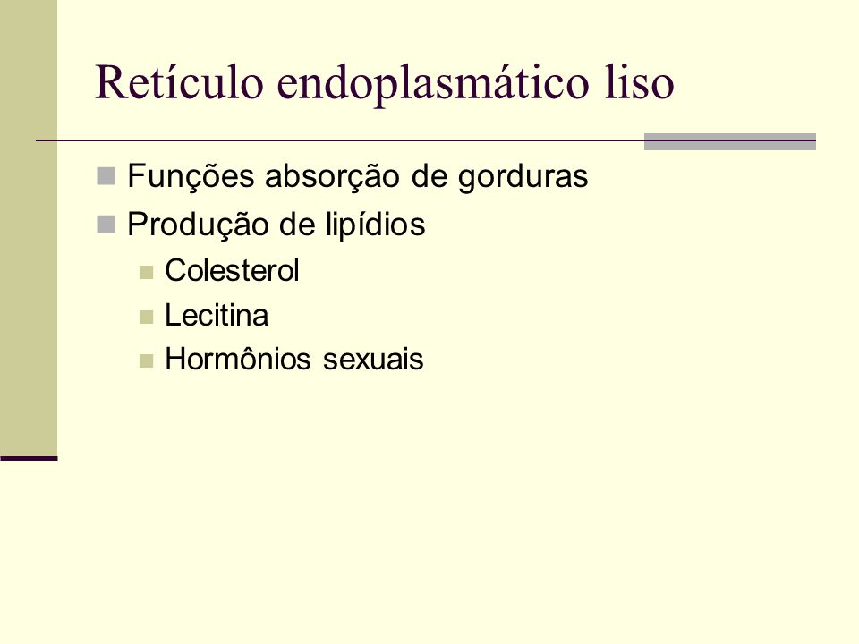 Retículo endoplasmático liso