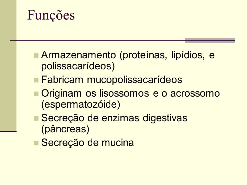 Funções Armazenamento (proteínas, lipídios, e polissacarídeos)