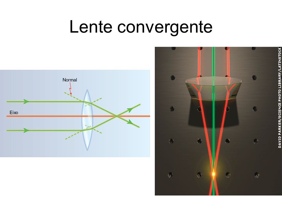 Lente convergente DAVID PARKER/SCIENCE PHOTO LIBRARY/LATINSTOCK.