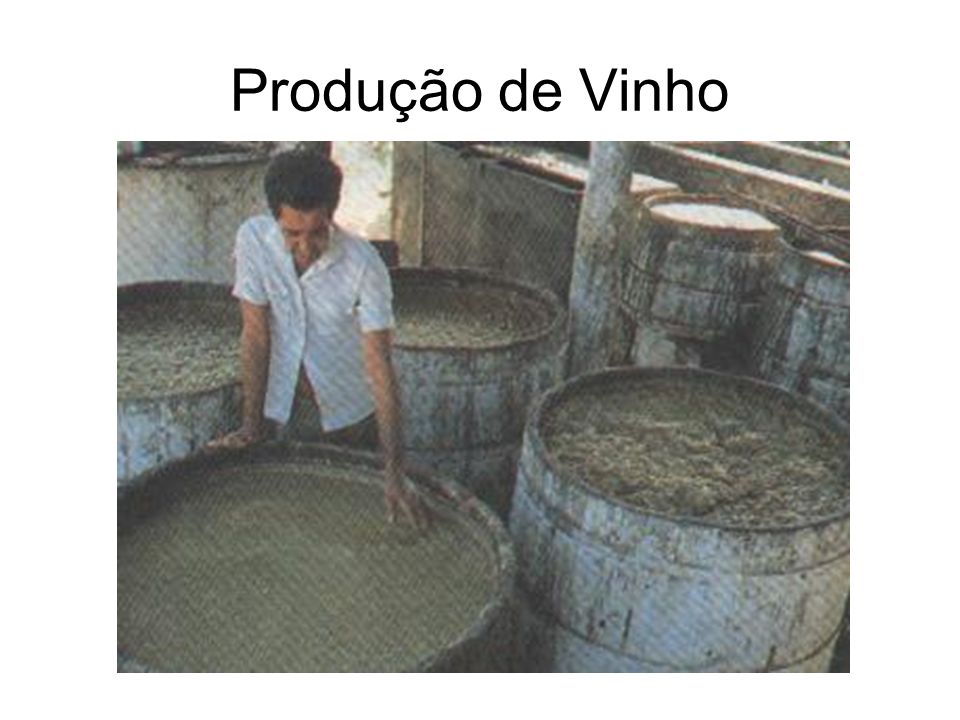 Produção de Vinho