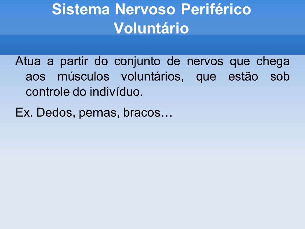 Sistema Nervoso Periférico Voluntário