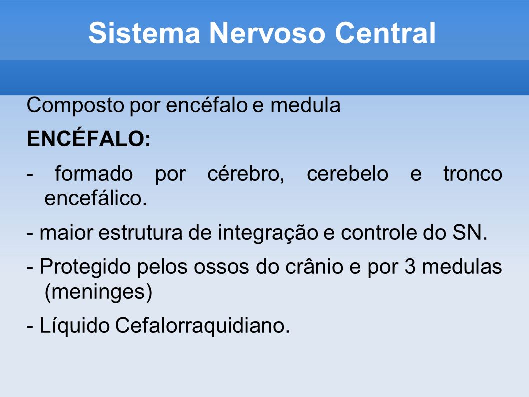 Sistema Nervoso Central