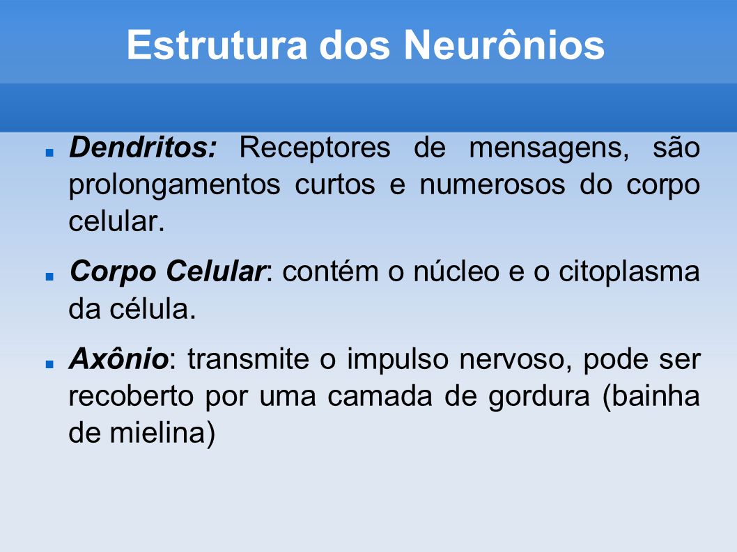 Estrutura dos Neurônios