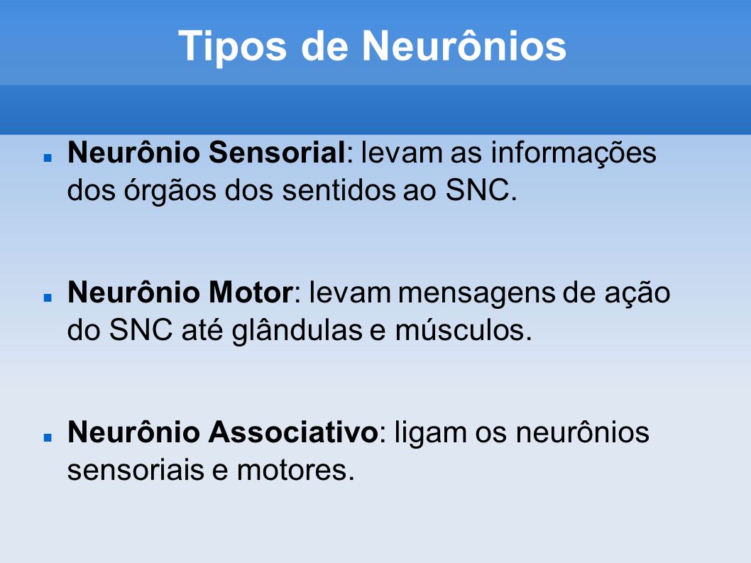 Tipos de Neurônios Neurônio Sensorial: levam as informações dos órgãos dos sentidos ao SNC.
