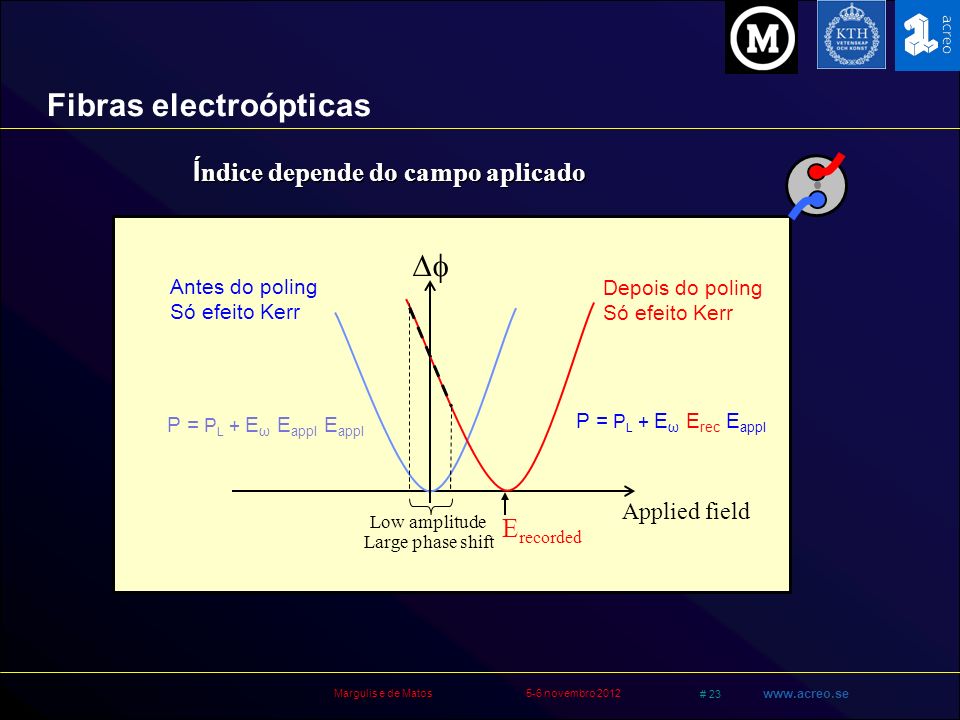 SISTEMA ANISOTRÓPICO VERDE PLASMÔNICO PARA ÓPTICA LINEAR E NÃO LINEAR: Uma  abordagem de homem leigo