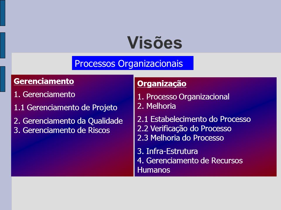 Visões Processos Organizacionais Gerenciamento Organização