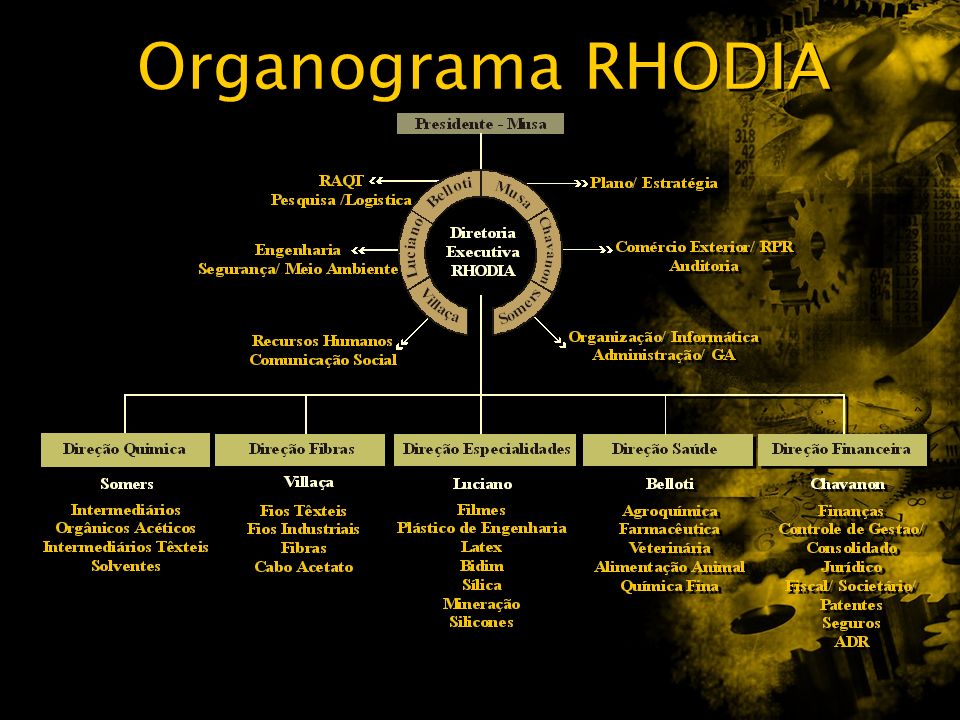 Organograma RHODIA