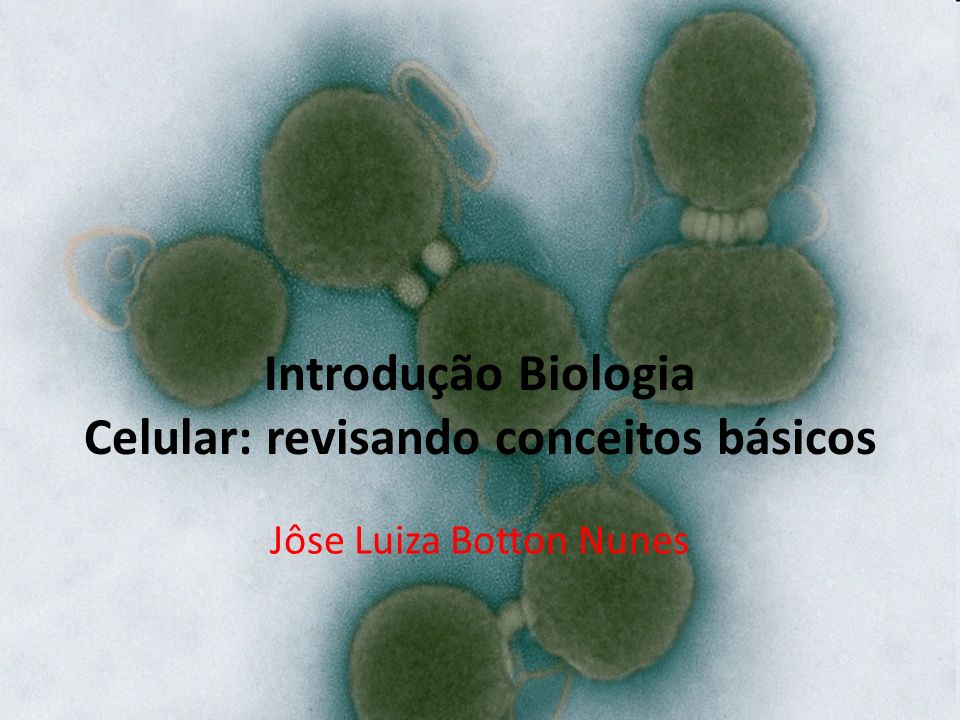 Introdução Biologia Celular: revisando conceitos básicos