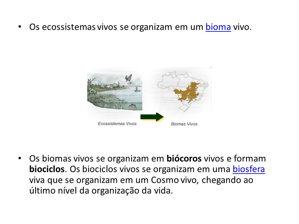 Os ecossistemas vivos se organizam em um bioma vivo.