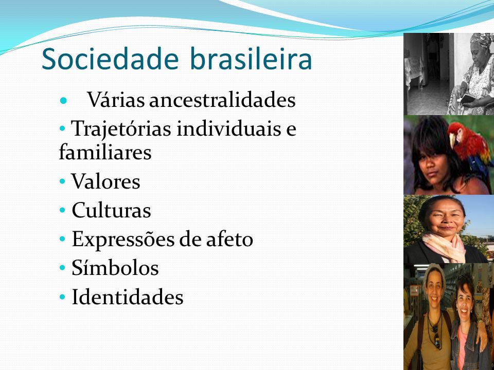 Sociedade brasileira Trajetórias individuais e familiares Valores
