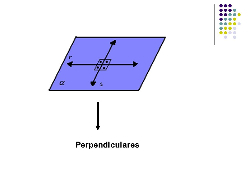 Perpendiculares