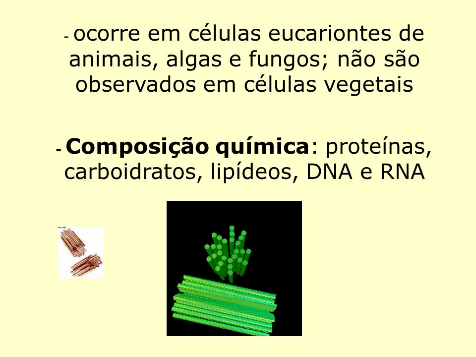 - Composição química: proteínas, carboidratos, lipídeos, DNA e RNA