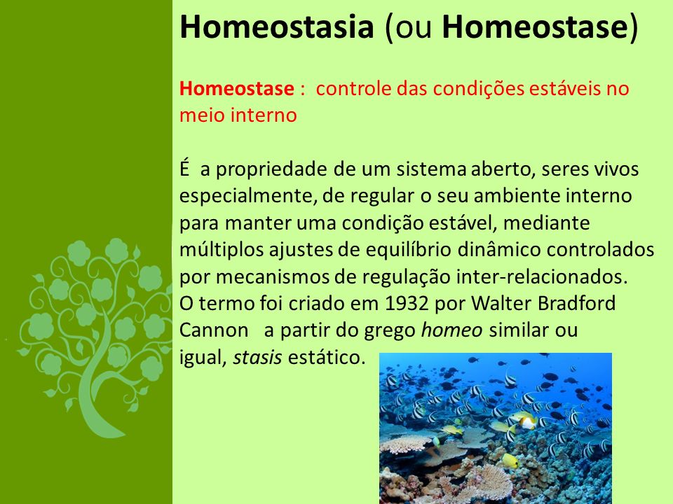 Homeostasia (ou Homeostase)