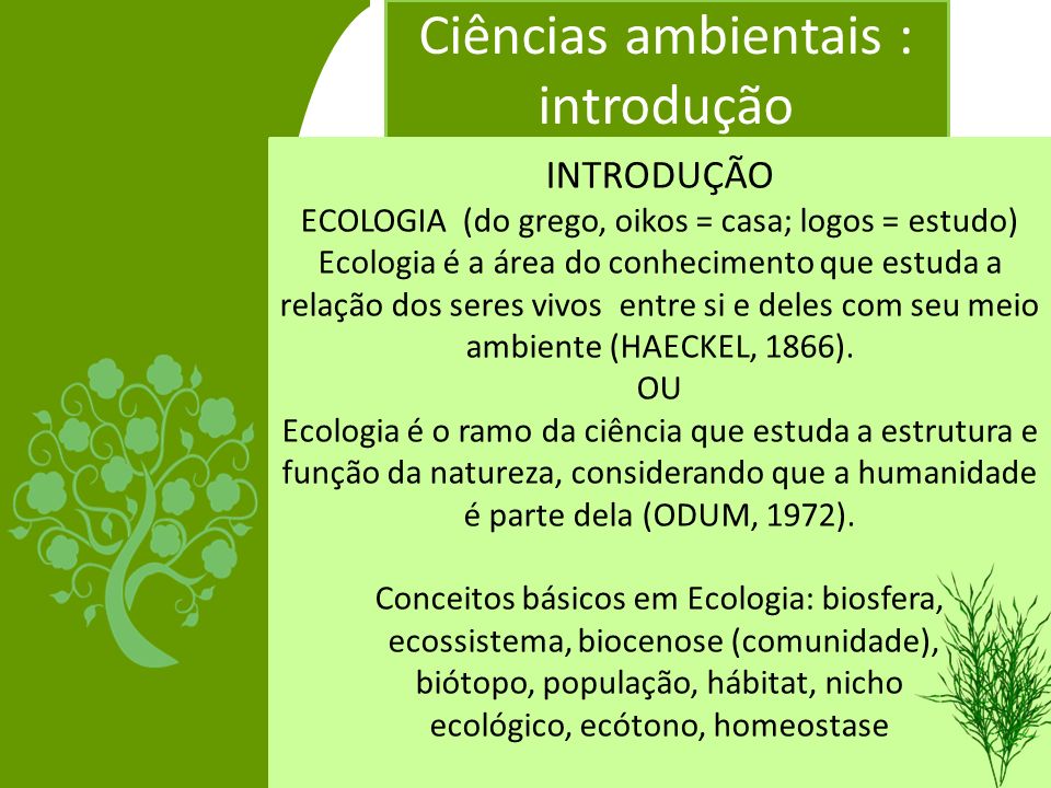 Ciências ambientais : introdução